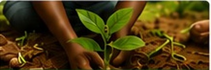 Young plant growing in soil
